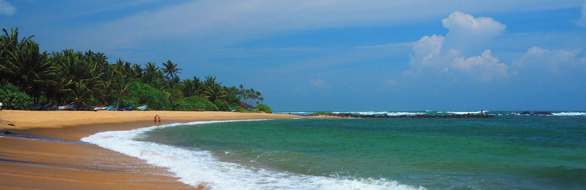 wild-life-srilanka