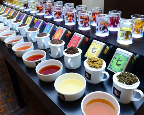 Ceylon Tea Tasting from Colombo sri lanka
