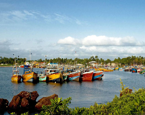 beruwala fishing harbour