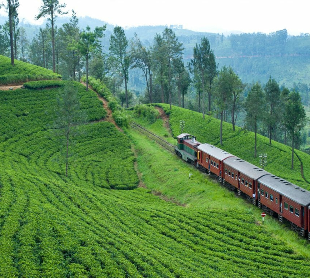 kandy in sri lanka
