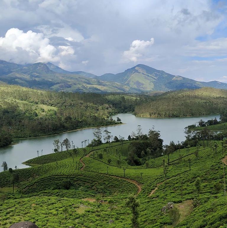 things to do in nuwara eliya