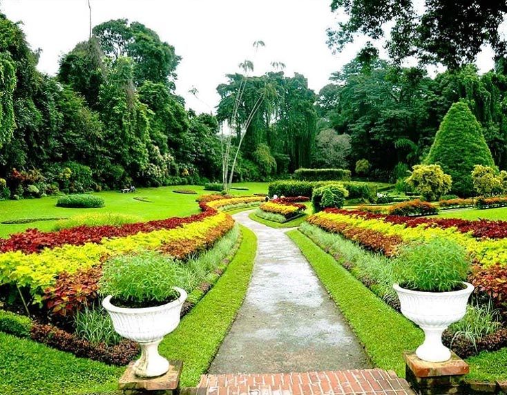 Kandy Heritage Luxury Van Tour